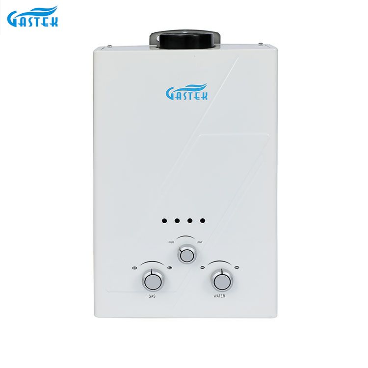 Wandmontierter 6L 10L 12L 16L 20L LPG Tankless Instant Gas Geyser mit Rauchabzug für die Dusche