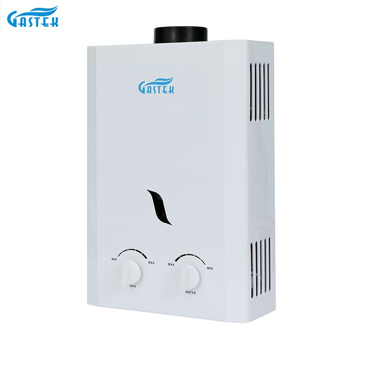Wandmontierter 6L 10L 12L 16L 20L LPG Tankless Instant Gas Geyser für Haushaltsgeräte mit Rauchabzug für die Dusche